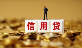 成都22哪有个人借贷-成都22小额贷款公司-成都22私借空放免费上门