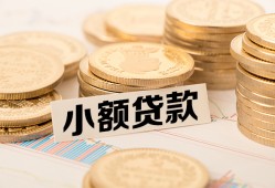 成都22身份证贷款平台-成都22私人借贷不查征信-成都22空放借钱