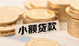 成都22身份证贷款平台-成都22私人借贷不查征信-成都22空放借钱